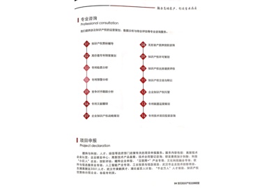 专业咨询.jpg
